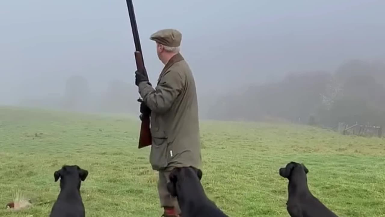 HUNTING WITH LABRADOR #alabalıkavı #fish #survival #labrador #hunting