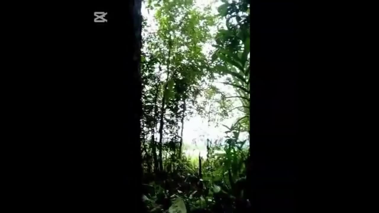 🌊💥 Myanmar War | PDO Ambushes Pyusa Boats in Kyunsu Township | RCF