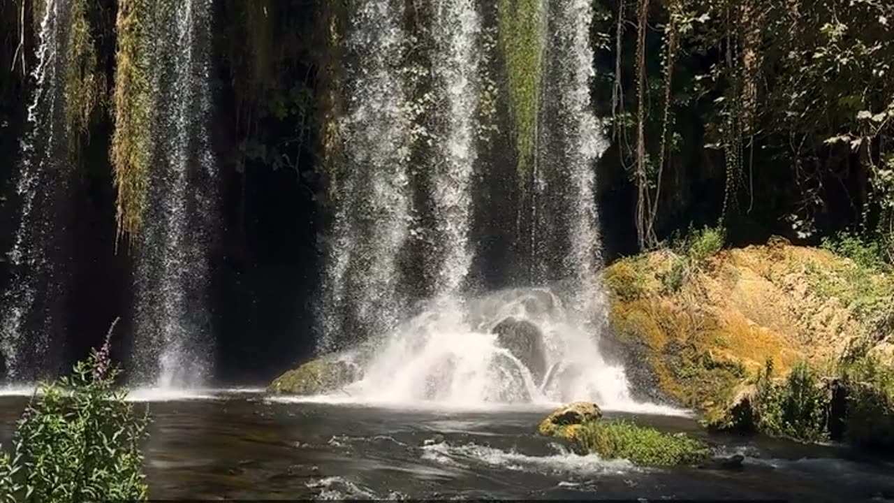 Daily Horoscope | Aquarius 🌟