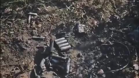 🚁⚔️ Ukraine Russia War | Dovbush Hornets Shoot Down Decoy Drone Gerbera | RCF