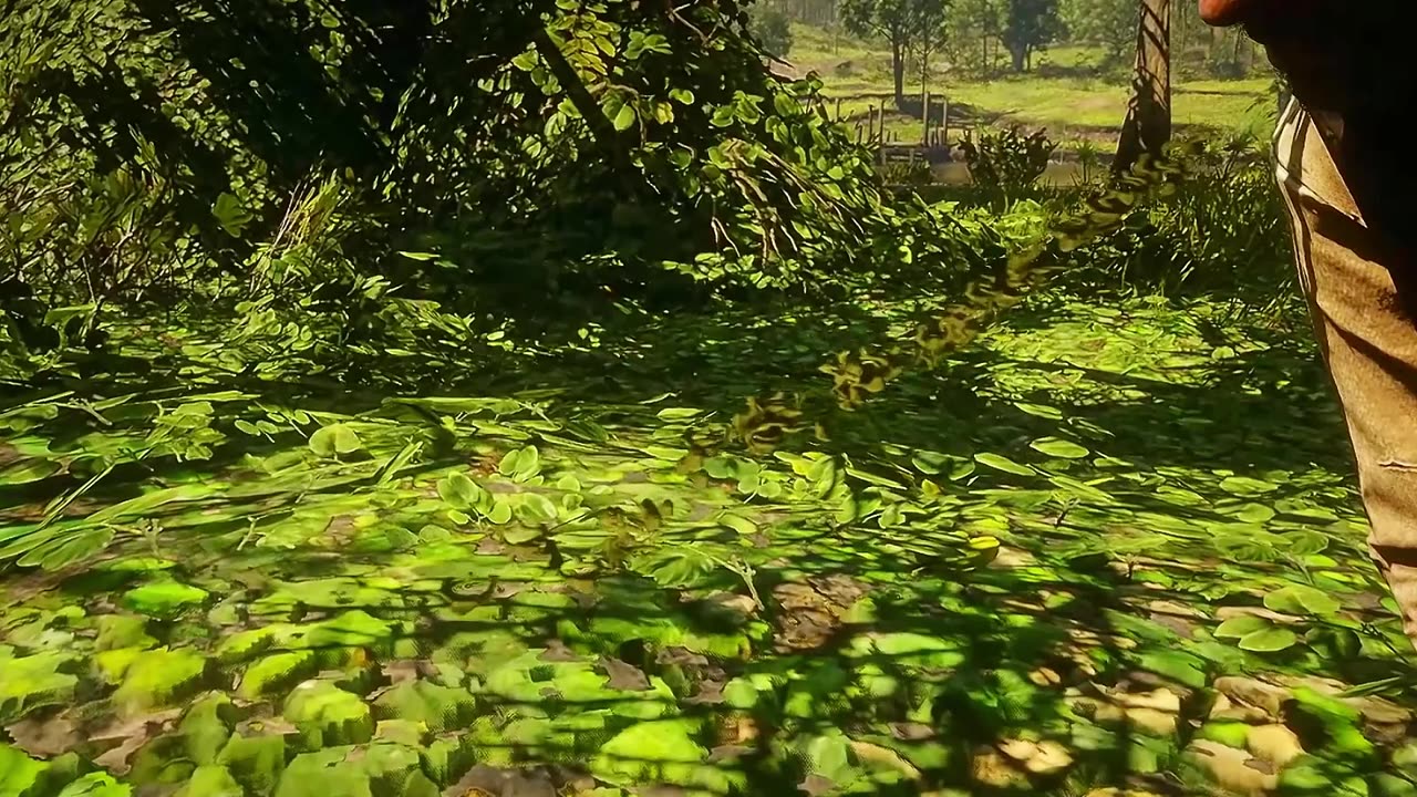 Arthur Spits Out Snake Venom He Sucked From A Mans Leg | RDR 2