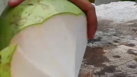 How beautifully the coconut was peeled.