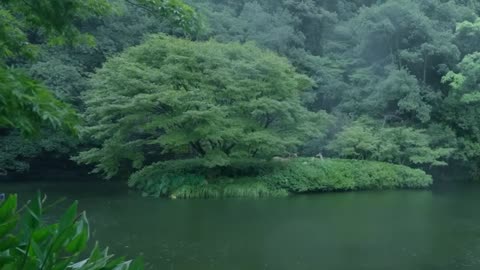 The beautiful little river is raining