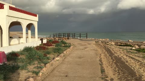 Boat Tour (Ria Formosa Natural Park, Algarve, Portugal) 10