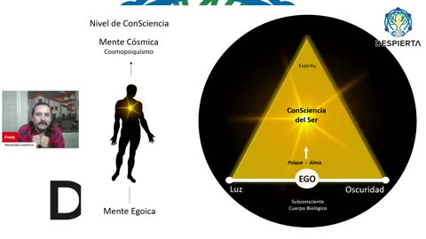Estados Elevados de Consciencia