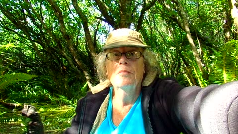 In the secret garden, mail call, update 5/14/25: