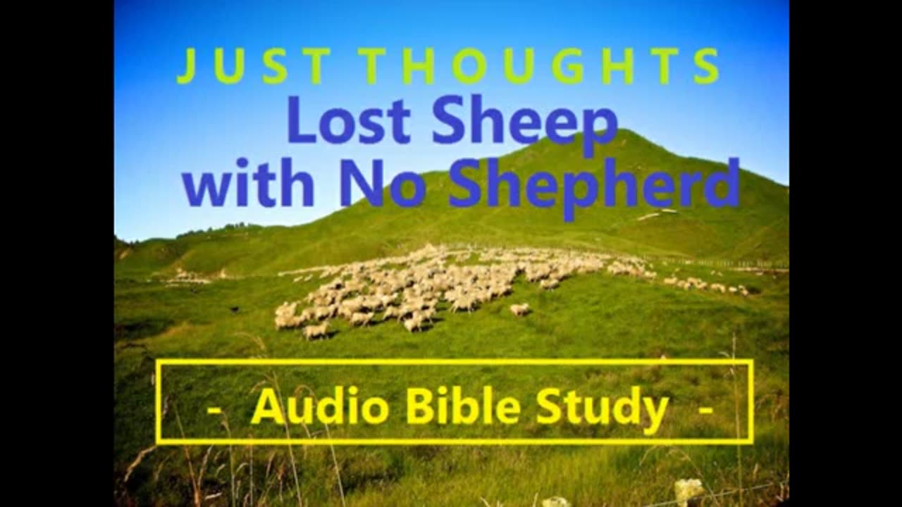 Just Thoughts - Lost Sheep with no Shepherd (2013) Retro