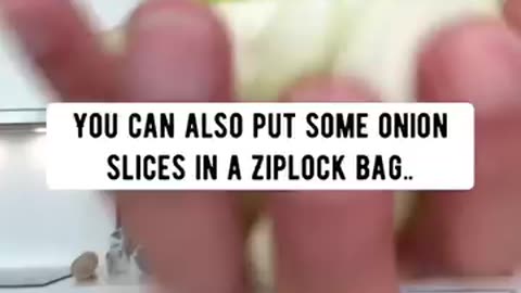 Onion Hacks 🌰