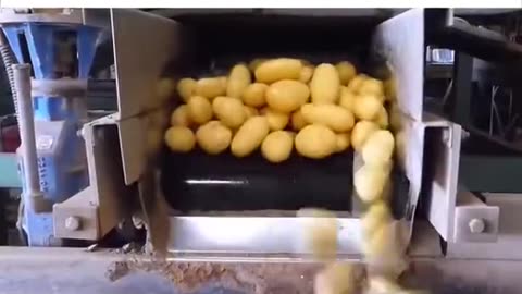 DON'T EAT MCDONALDS, ITS LITERAL POISON CONTAINING GLYPHOSATE ETC