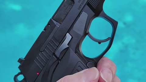 Bersa TPR9C: Aluminum, Hammer-Fired, Ambi Carry Gem!