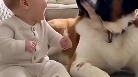 Cute Baby Funny Videos 🤩🤭🤣