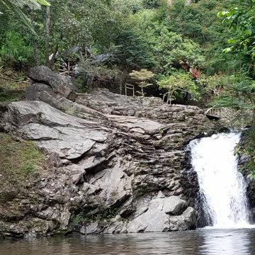 Insect World Tiny Giants