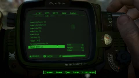 Fallout 4 play through with mods new run