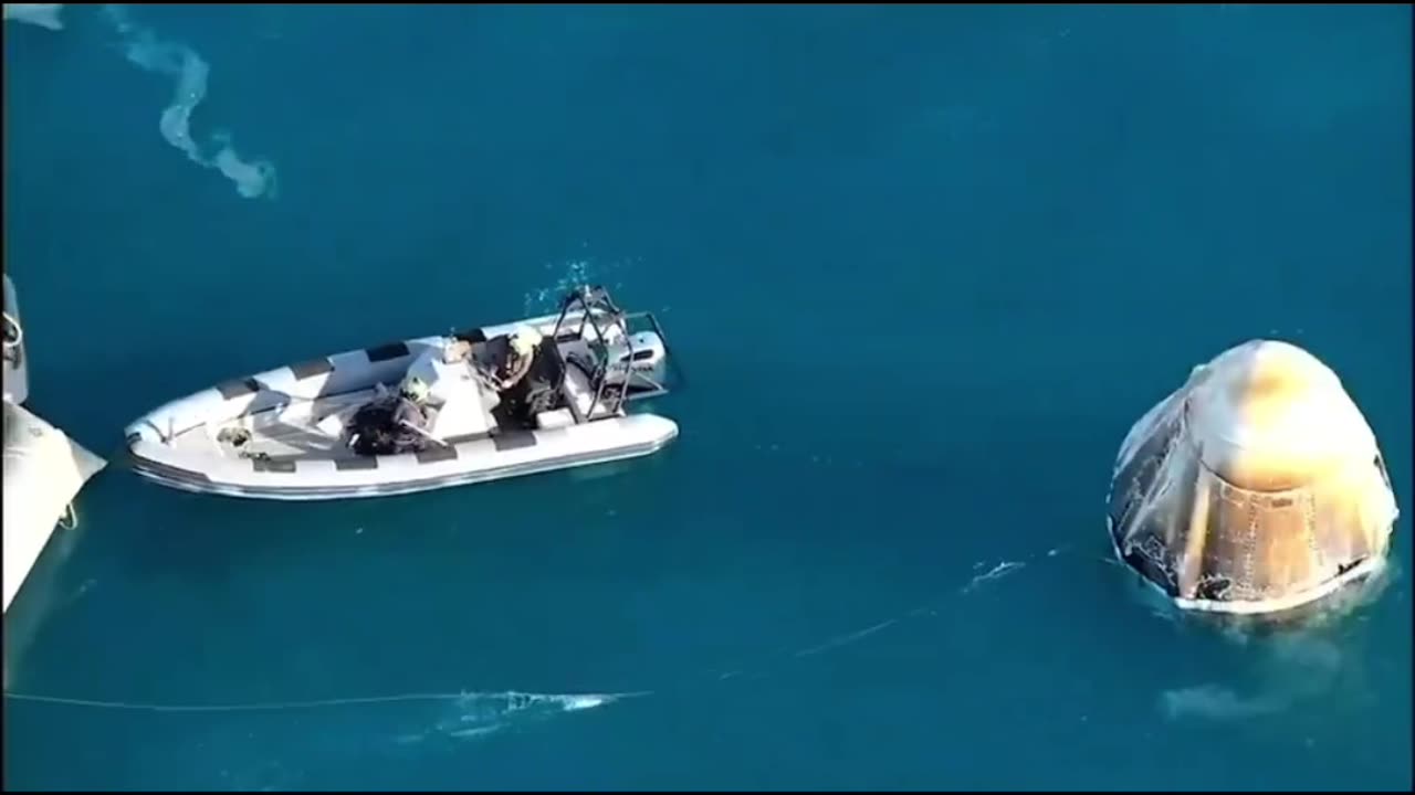 A Pod Of Dolphins Stopped To Say Welcome Home To Astronauts Look How Nice 🐬 🐬