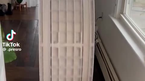 🤩🐈 This Cat Just Leveled Up — Now It Can Travel! | FunFM