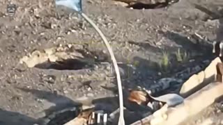 🎥 🇺🇦 Marines raised Ukrainian flags in the temporarily occupied part of the Kherson region