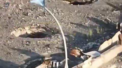🎥 🇺🇦 Marines raised Ukrainian flags in the temporarily occupied part of the Kherson region