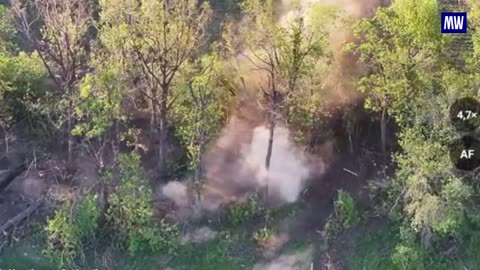 Liberation of Petrovskoye: A Tactical Triumph
