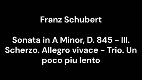 Sonata in A Minor, D. 845 - III. Scherzo. Allegro vivace - Trio. Un poco piu lento