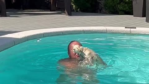 Little Dog Paddles While Held in Pool