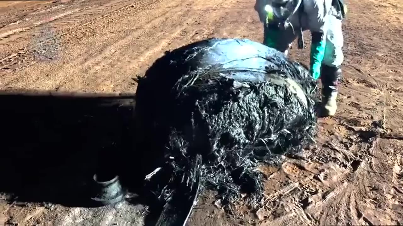 🤯✨ Space Debris Linked to China’s Rocket! | FeedMyCuriosity