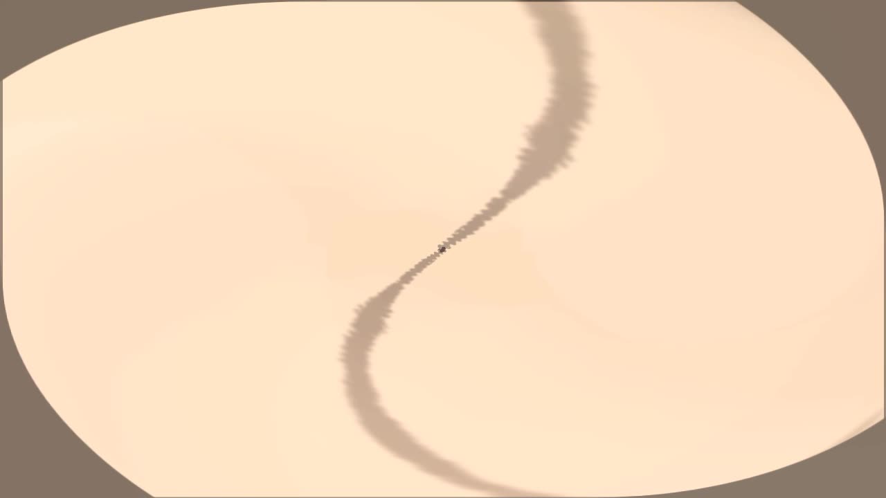 Bipolar Iapetus, Op 296