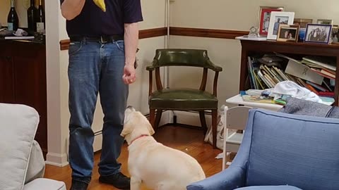 Molly's First Lesson short 2