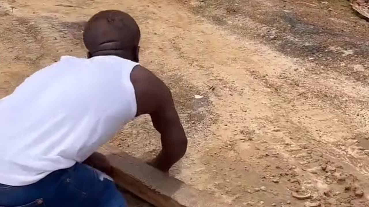 Let this reading pen fly.