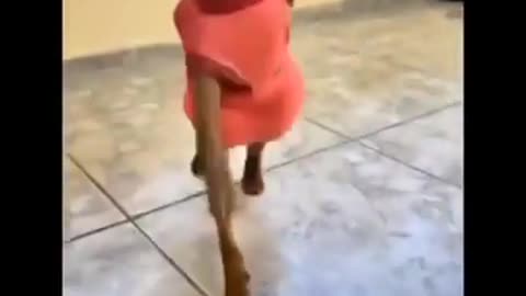 Dance moves