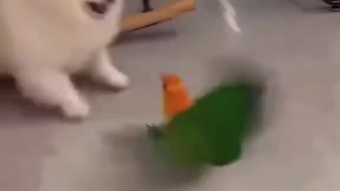 Funny