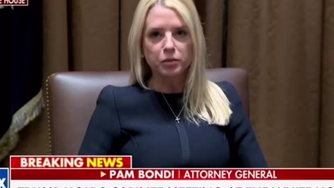 Pam Bondi announces she WILL be prosecuting the fraud Elon Musk finds!