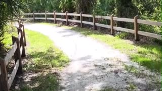 SUZ AND DOUG VISIT THE LEGACY TRAIL IN SARASOTA!