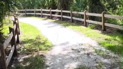 SUZ AND DOUG VISIT THE LEGACY TRAIL IN SARASOTA!