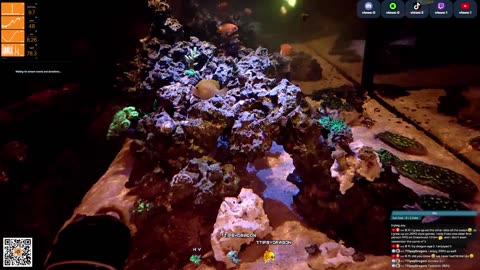 24/7 Real Live Reef Stream