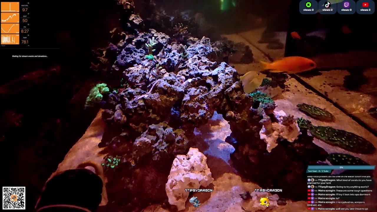 24/7 Real Live Reef Stream