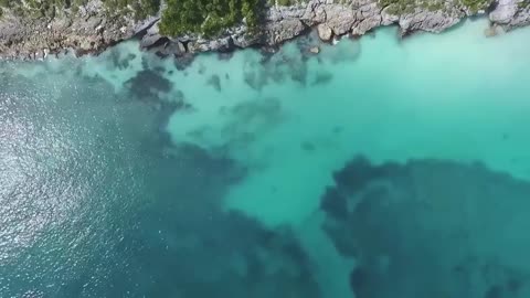 Sea waves