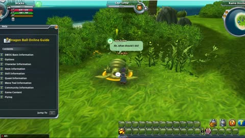 Dragon Ball online P0