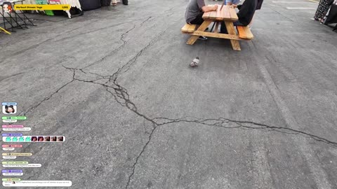 [6/01/25] IRL CERAMICS CHAOS! w/ @bubblicorn