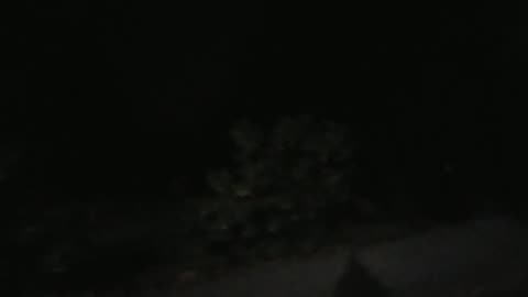 Crying 🐓 From the Predvidians and Puppies in the Mill 🤡🦆