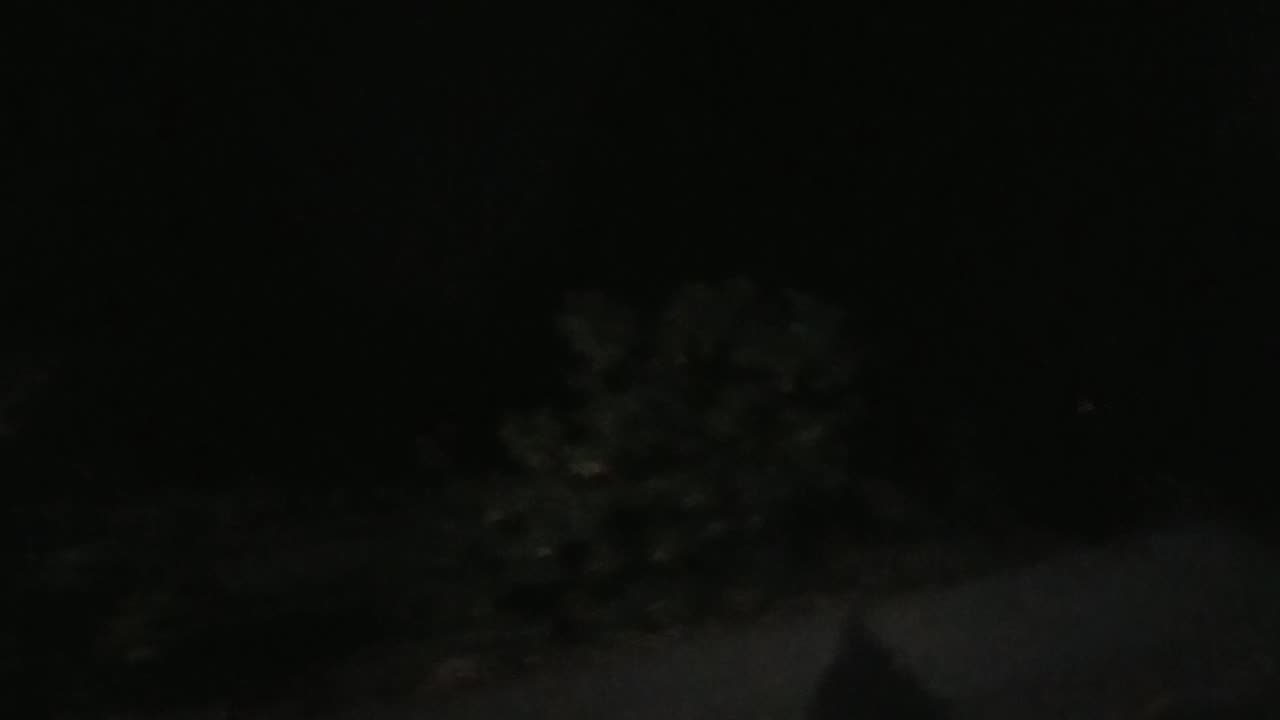 Crying 🐓 From the Predvidians and Puppies in the Mill 🤡🦆