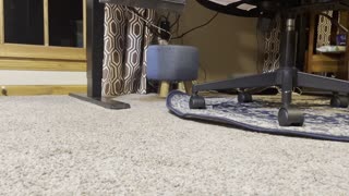 Increasing your strength