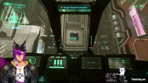 Star Citizen Things