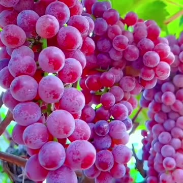 पिंड दान कीजिए ऐसे रिश्तों का