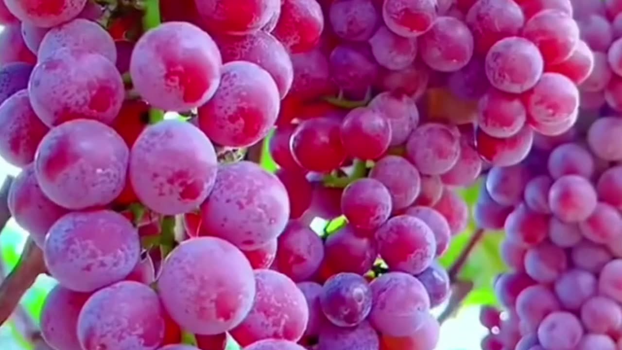 पिंड दान कीजिए ऐसे रिश्तों का