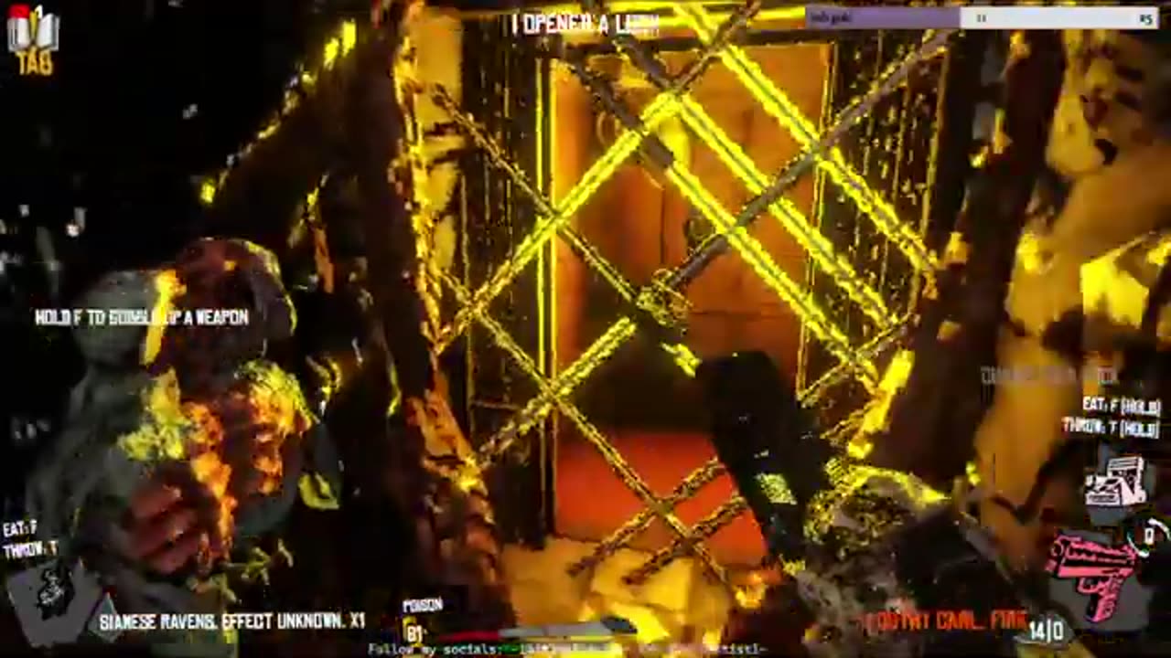 Golden Light (Part 1)