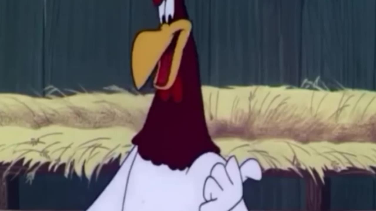 funny funny videos funny jokes funny animals funny memes funny movies funny bone funny pictures