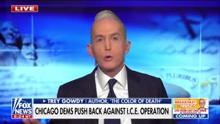 Trey Gowdy: Trump DOESN'T need permission to do this