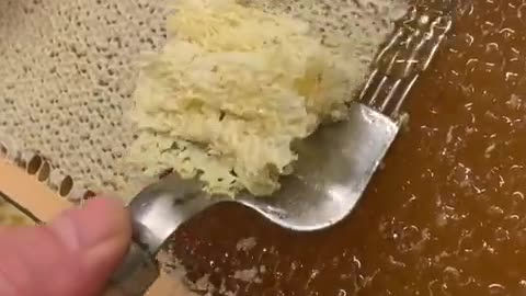 Honey comb and bees wax