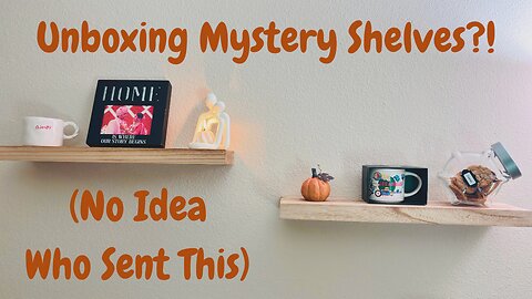 Unboxing Mystery Shelves! (No Idea Who Sent This)