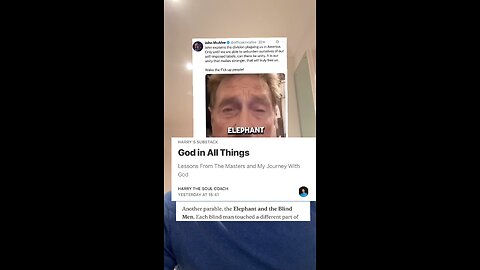Is John Mcafee back?